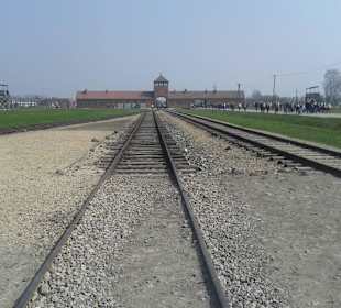 Birkenau