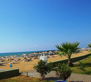 Beim Strandspaziergang