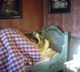 Europapark - im Märchenwald, schnarchender Wolf