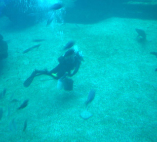 Aquarium Playa de Palma