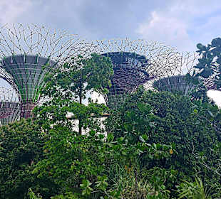Gardens by the Bay