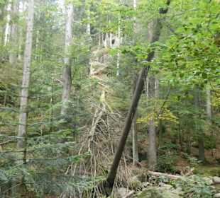 Auf dem Weg zu den Rißlochfällen