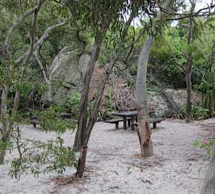 Picknick-Area