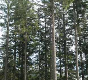 Wasserfall-Tour: Richtung Hochfall-Wasserfall