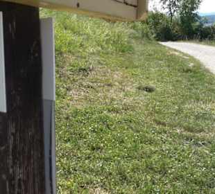 Früchtetrauf - Wurmlinger Kapellenwegle