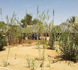 Jeep-Tour Ksar Ghilane