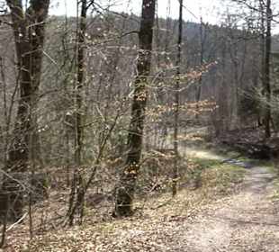 Wanderung Kirnberg-Runde Bebenhausen