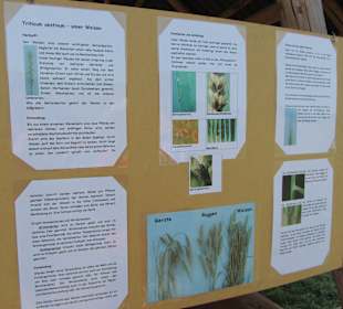 Übersichtstafel Thema 2013