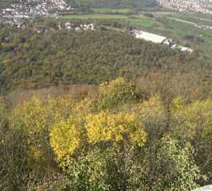 Premiumwanderweg "hochgehkeltert" Öschingen