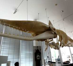 Rundgang durch das Schiffahrtsmuseum