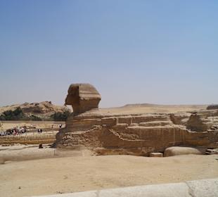 Die Sphinx