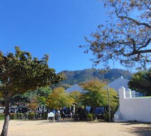 Weingut Groot Constantia