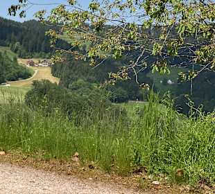 Wandern Bad Peterstal-Griesbach