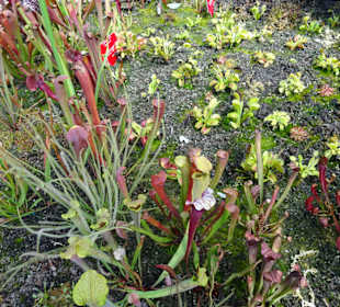 Stadtrundgang Sydney