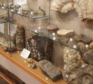 Rundgang durch das Museum Wasserburg