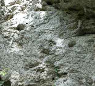 Wallersteiner Felsen