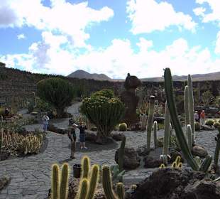 Jardin de Cactus