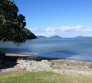 Shelly Beach bei Coromandel