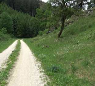 Tiefental Aichstetten