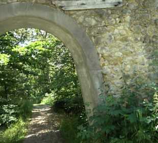 Burg Hölnstein Stetten u. Holstein