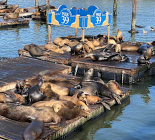 Pier 39