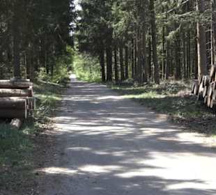 Waldlehrpfad an der Lauter