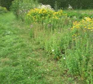 ALB-GOLD Naturgarten