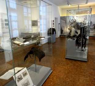 Rundgang durch das Deutsche Pferdemuseum