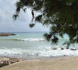 Arapis Coral Bay Restaurant und strand 