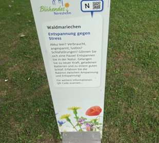 Skulpturenpfad