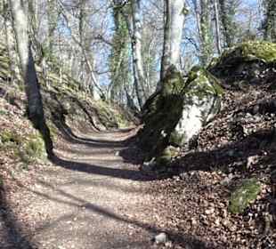 Wandertour Eppenzill