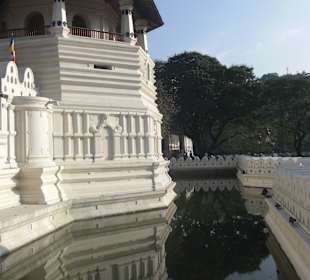 Tooth Temple Kandy