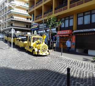 Loro Parque Express in Puerto de la Cruz