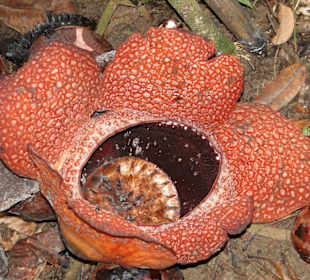 Ausflug Wildfife Expeditions