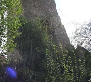 Burgruine Rechtenstein