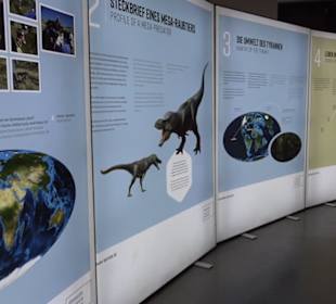 Dinosaurier Museum Altmühltal