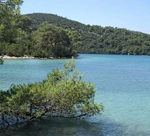 Aussicht auf den kleinen See 