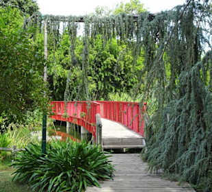 Brücke über die Teichlandschaft