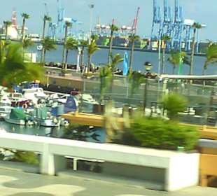 Busanfahrt Las Palmas