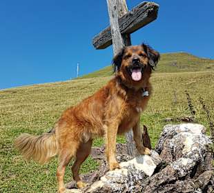 Berg Hohe Salve
