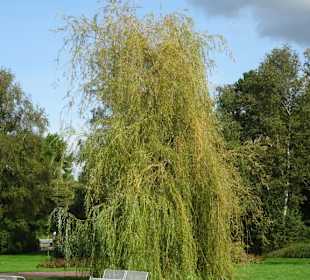 Eindrücke aus dem Kurpark Bad Bederkesa