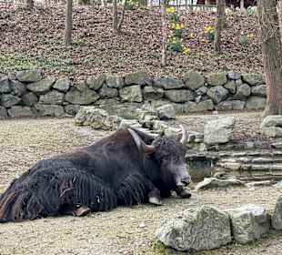Tiergarten Straubing