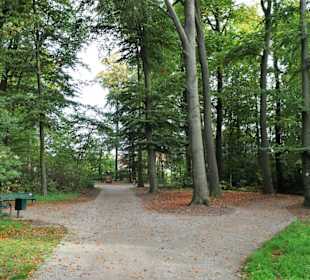Rundgang durch den Stadtpark Versmold