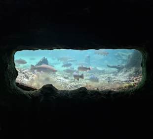 Paradise Valley Springs