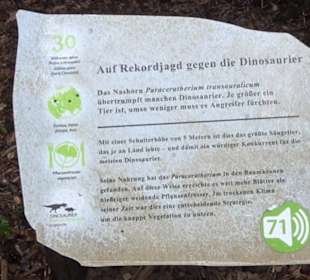 Dinosaurier Museum Altmühltal