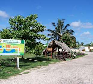 Kroko
