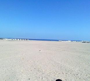 Ausblick Richtung Meer