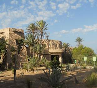 Krokodilfarm in Nähe des Hotels