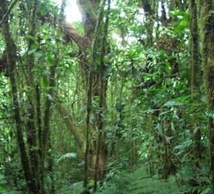 Santa Elena Nationalpark