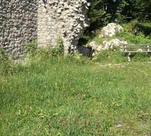 Burg Hölnstein Stetten u. Holstein